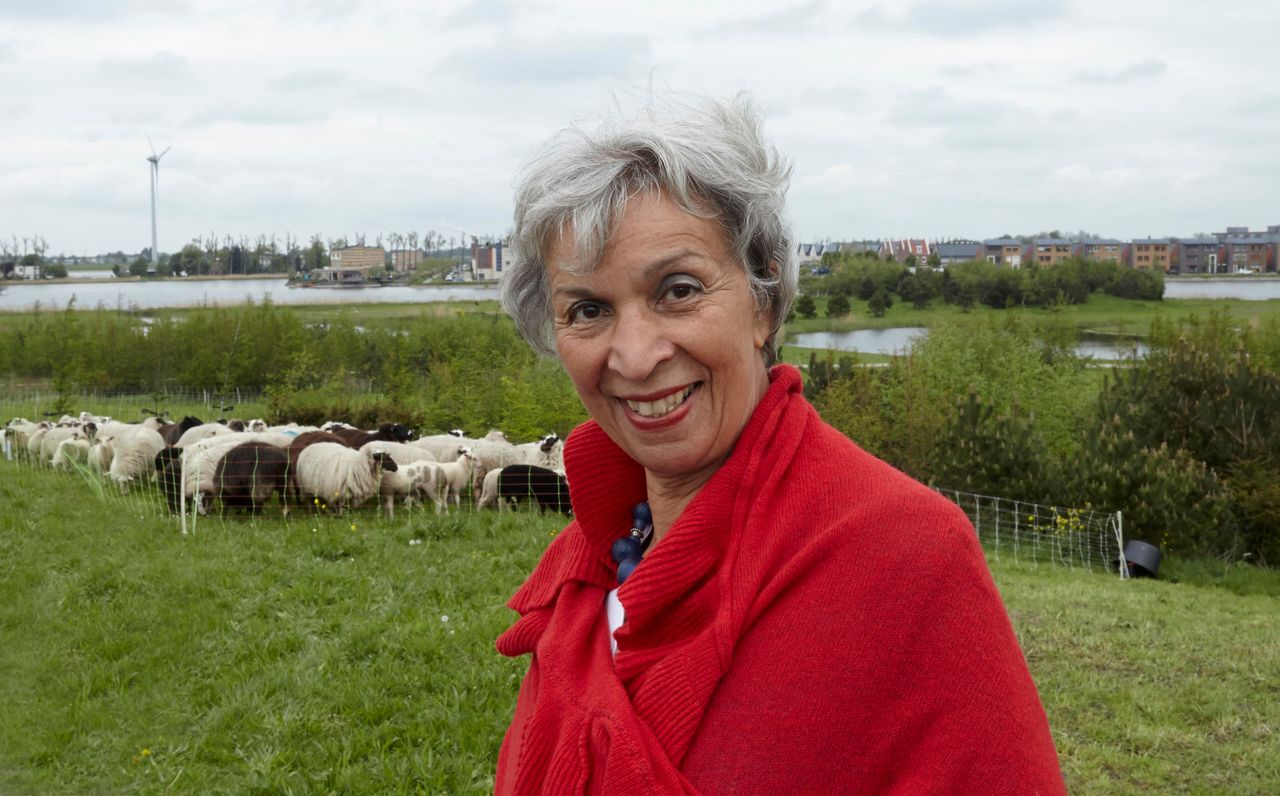 Eugènie Herlaar in een rode jas bij een kudde schapen in Heerhugowaard, 2014