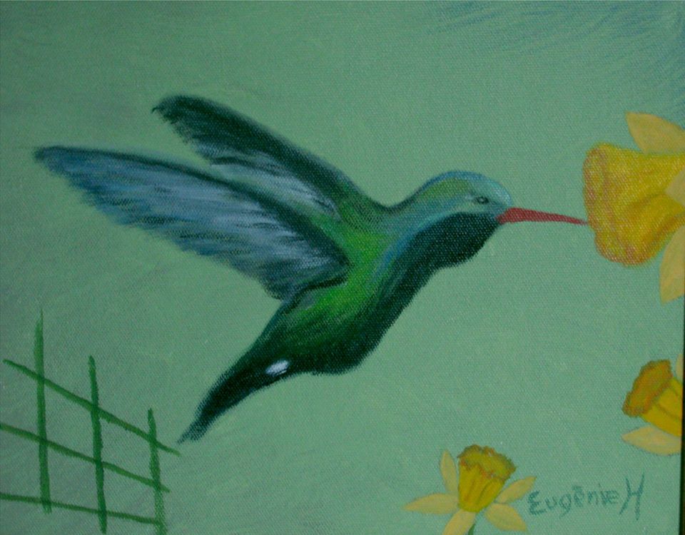 Kolibrie — schilderij van Eugènie Herlaar
