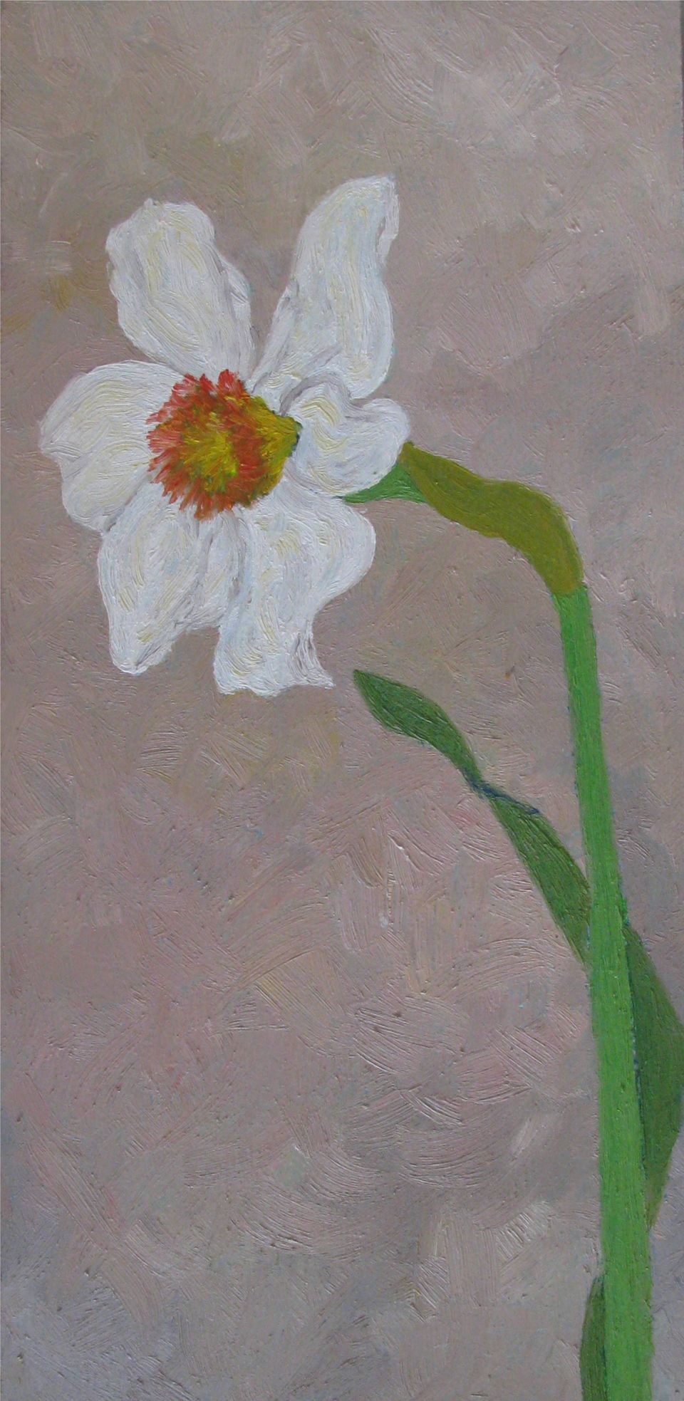 Narcis — schilderij van Eugènie Herlaar