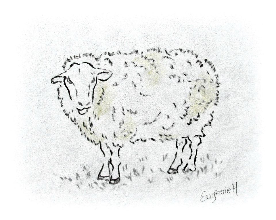 Schaap — schilderij van Eugènie Herlaar