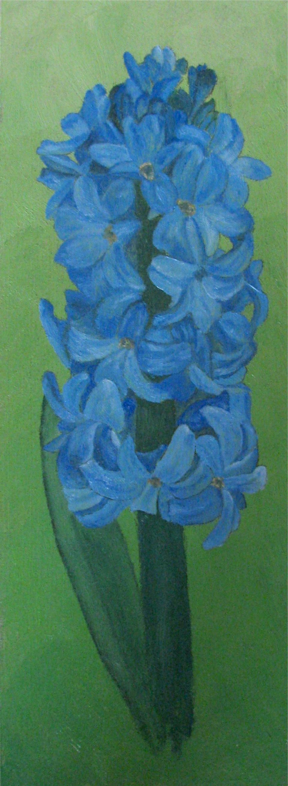 Blauwe Hyacint — schilderij van Eugènie Herlaar