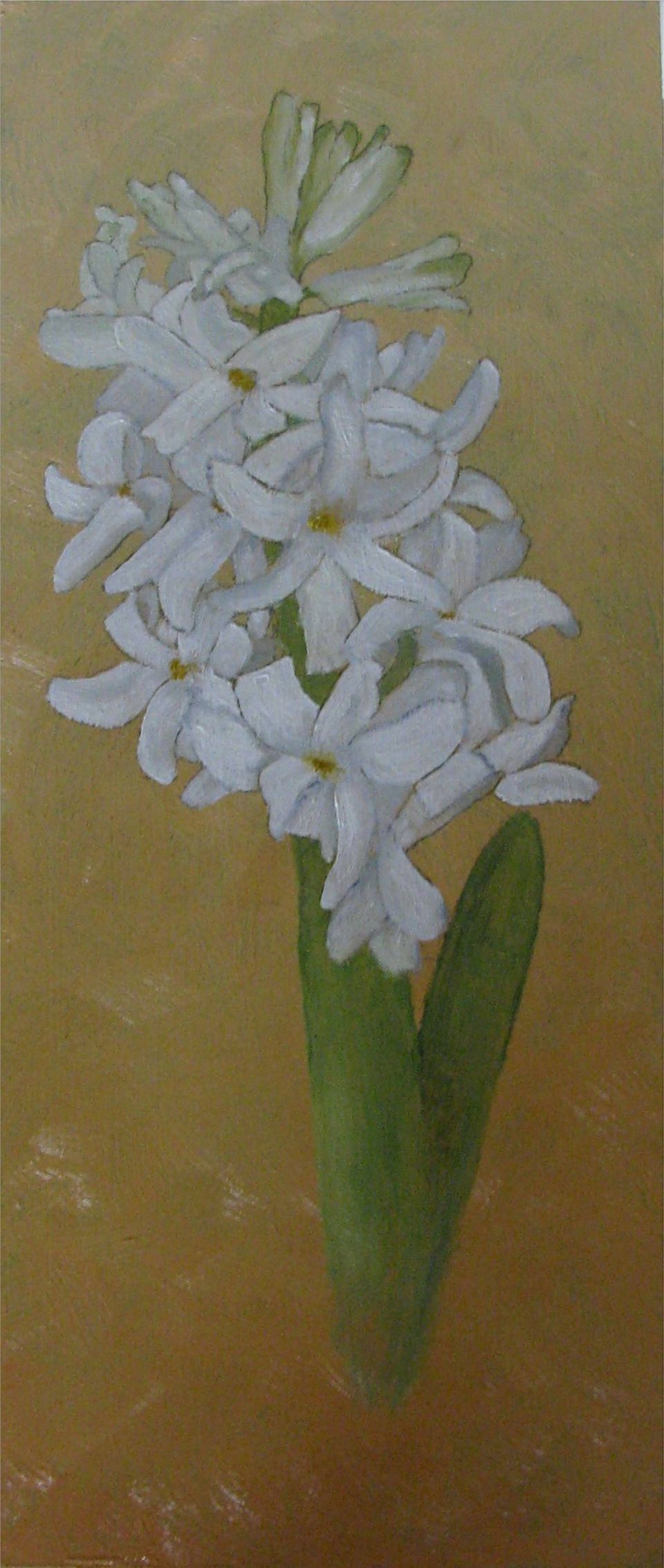 Witte hyacint — schilderij van Eugènie Herlaar