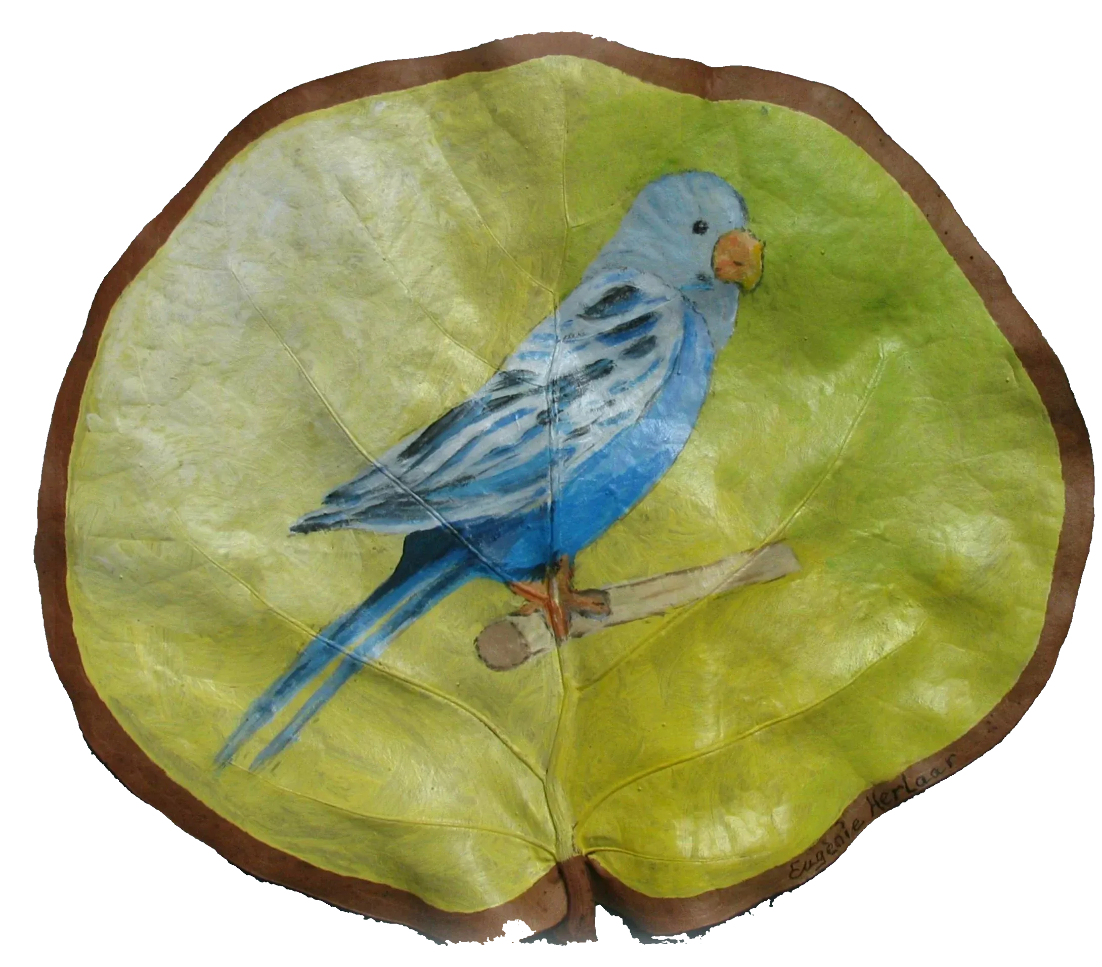 Bladschildering van een blauwe parkiet op een gedroogd zeedruifblad